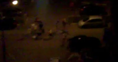 Пьяные армяне напали на компанию в Лесном Городке и получили отпор