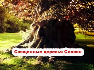 Священные деревья Славян: Древо Перуна - Дуб