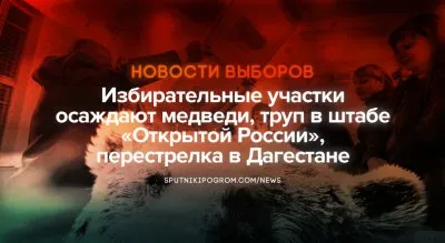 Видел ли кто-то выборы в РФ? Говорят, они существуют!