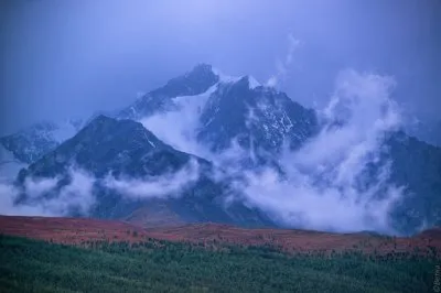 Академия Развития Интуиции. Азбука чувств.часть 2(видео)