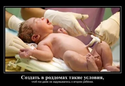 Современная родильная система