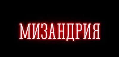 Мизандрия /мужененавистничество/