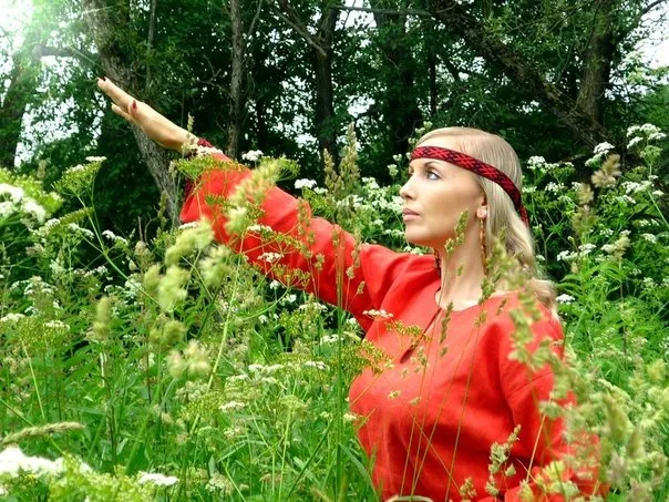 Арий Ляшенко: О Славянском Ставе Славы и нацистском приветствии