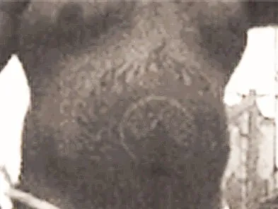 Далеко подевались ли Исполины?