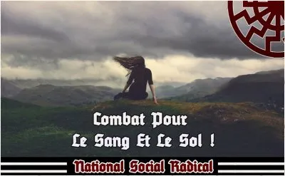 Что предлагают национал-социалисты для выхода из криза: третий путь