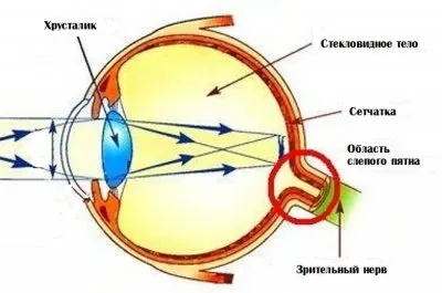 Мир после квантового перехода