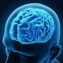 Думайте самостоятельно