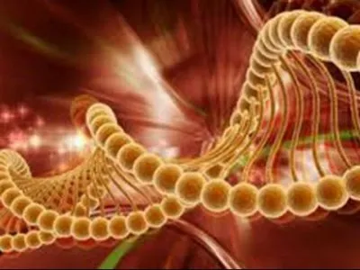 Влияние эгоизма на гены человека. Георгий Сидоров (видео)