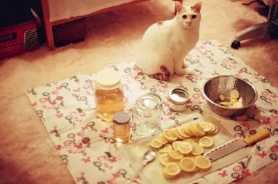 Я год пил воду с мёдом и лимоном по утрам. Что из этого вышло?