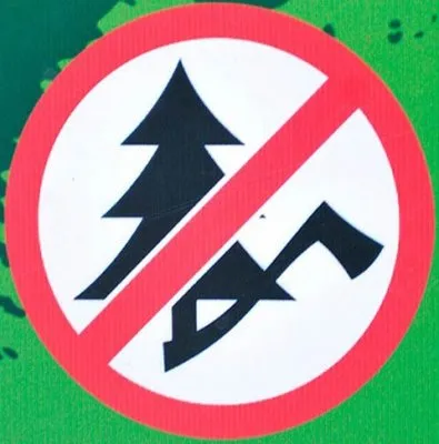 Россия окончательно встала с колен: в РФ вводят уголовную ответственность за сбор дров в лесу