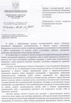 Россия окончательно встала с колен: в РФ вводят уголовную ответственность за сбор дров в лесу