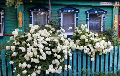 Русское зодчество: деревянные дома Суздаля