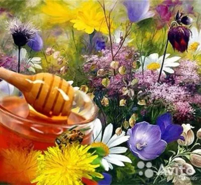 Травы и пчёлы для здоровья человека