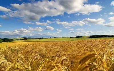 Что для вас РОДИНА?