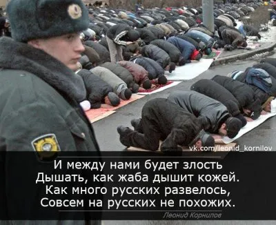 Мигрант. Леонид Корнилов.