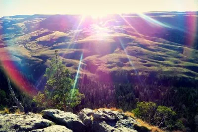 Моё средство от простуды + Местные зарисовки