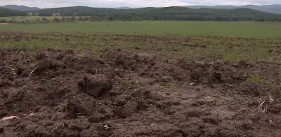Гектар за спасибо: закон о раздаче земли на Дальнем Востоке вступил в силу