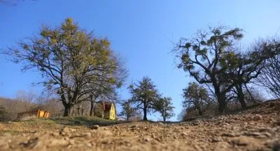 Почему я вернулся на Родину! Поселения нового типа! Подальше от городов. Из города в деревню