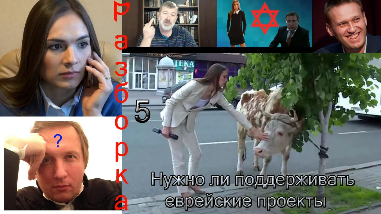 Разборка встречи судьи Новикова и депутатки Ольги Ли