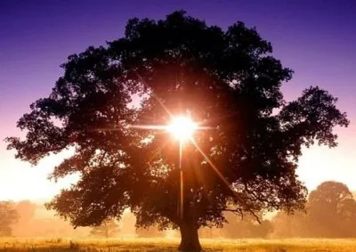 Открыт набор на курсы по изучению Древнеславянской системе СПАС