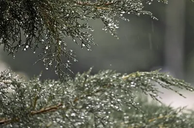 Как встретить славянский праздник Велесова ночь?