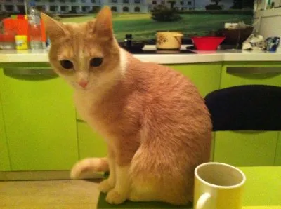 Откровенный разговор с христианами