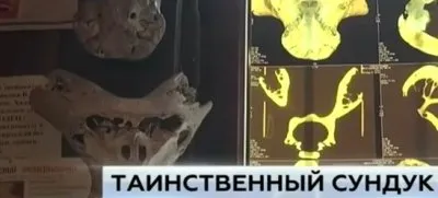 Сенсационные находки в Адыгее “инопланетные“ черепа и сундук с символикой СС