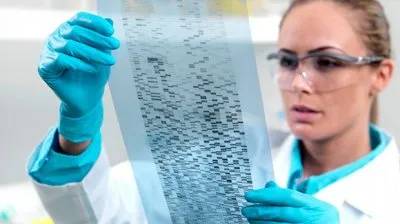 Об однородстве русских.  Большинство граждан России имеют генетику присущую одному роду