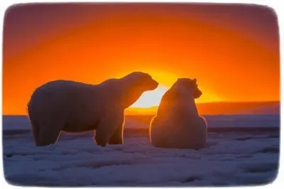 Составляющие материнского чувства и примеси, которые делают светую любовь негативной