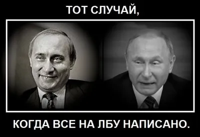 Антиквар и Вова-Шнырь. Как из пособника бандитов стать президентом России