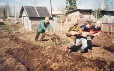 Дачников в РФ продолжают давить.