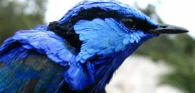 Озарения и откаты