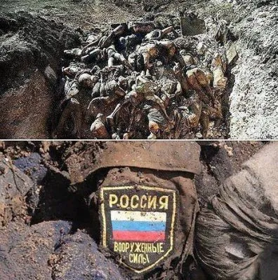 Значение фамилии Шойгу