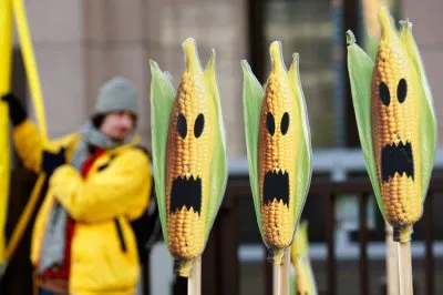 ГМО-продукты начали убивать европейцев.