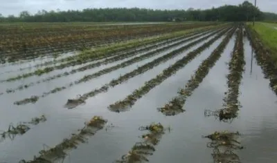 В республике Башкортостан объявлен режим ЧС из за дождей