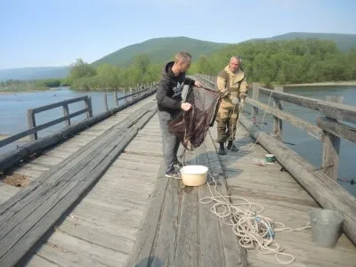 РЫБНЫЙ РАЙ И ЛОСОСЕВЫЕ ИСКУШЕНИЯ. ЧАСТЬ 1