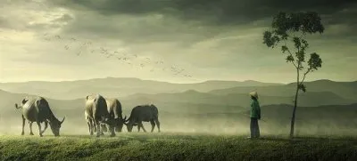 10 принципов дзен-буддизма, которые изменят твой привычный мир