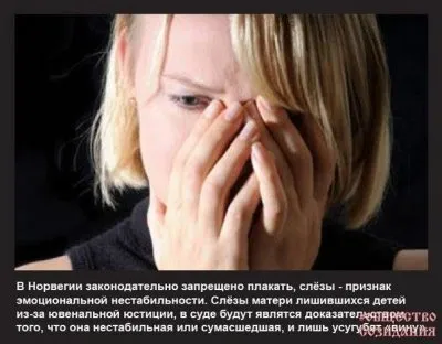 Европейская модель уничтожения семьи