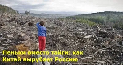Как Китай вырубает Россию