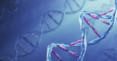 Как наши мысли способны изменять молекулярные связи в генах