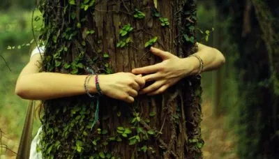 Волшебные свойства деревьев