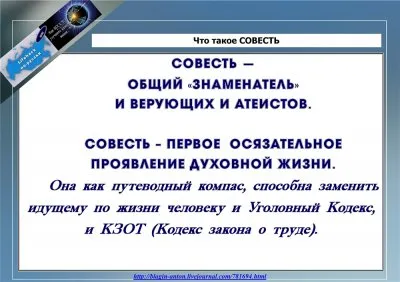 ТАЙНЫ БЫТИЯ. Кратко, наглядно и ясно о Совести и паразитизме