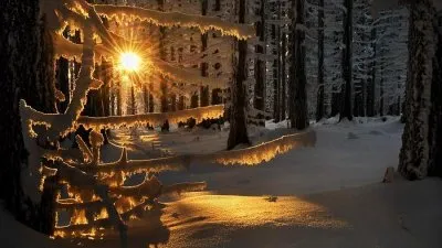 Учитесь мало говорить