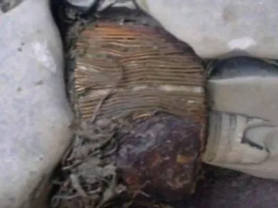 В Косово нашли трансформатор которому 20 000 лет