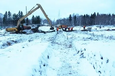 В усадьбе «Монрепо» вырубили около 3000 деревьев в «санитарных» целях