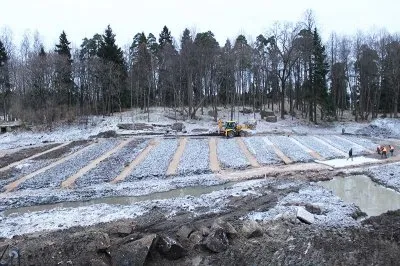 В усадьбе «Монрепо» вырубили около 3000 деревьев в «санитарных» целях