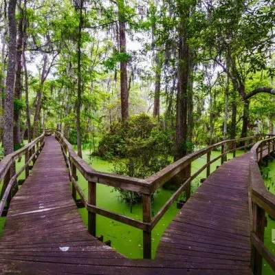 Право выбора. Мнение Барбоса.