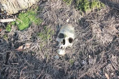 Ничего святого!