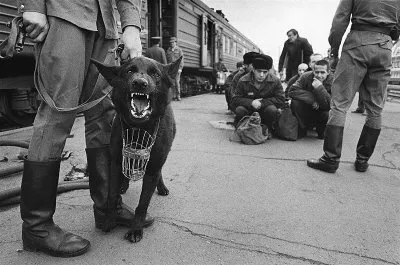 Скрытая сеть платных частных тюрем в России