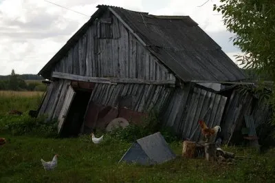 Вводят налоги на теплицы сараи бани и сортиры